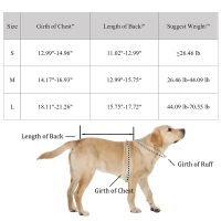Dog Back Brace for  IVDD