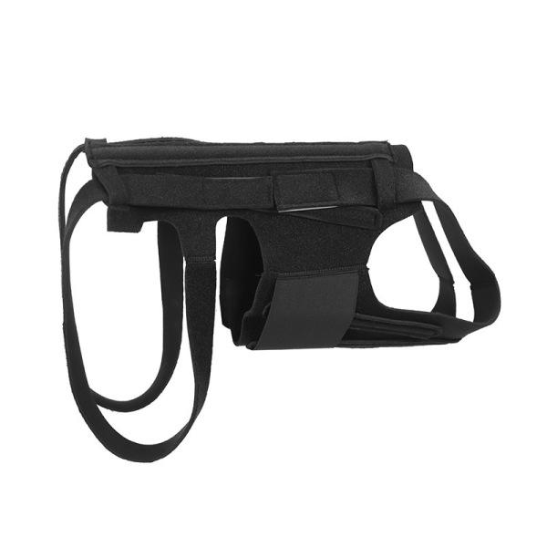 Dog Back Brace for  IVDD