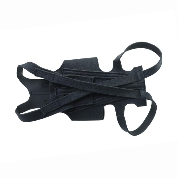 Dog Back Brace for  IVDD