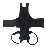 Dog Back Brace for  IVDD