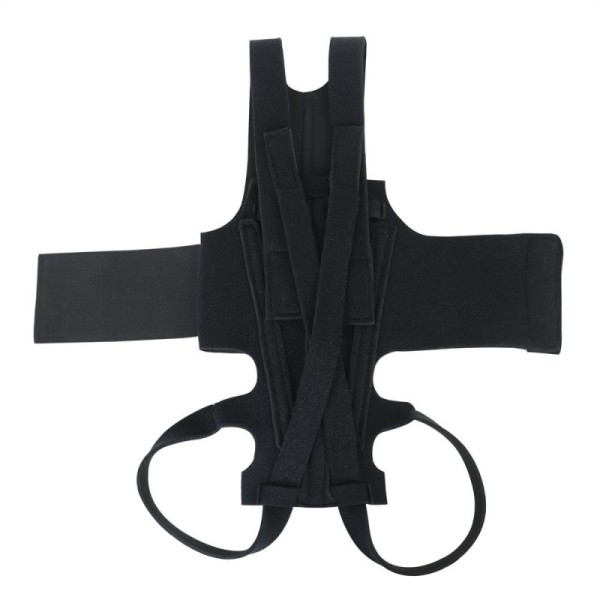 Dog Back Brace for  IVDD