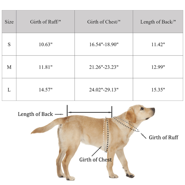 Dog Back Brace IVDD