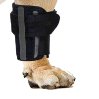 Dog Carpal Brace Hinged