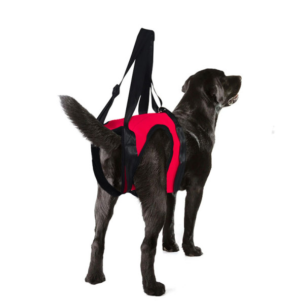 Dog Rear End Support Harness 