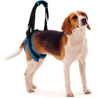 Dog Rear Support Harness