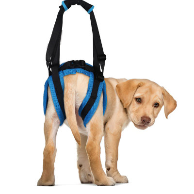 Dog Rear Support Harness