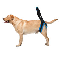Dog Rear Support Harness