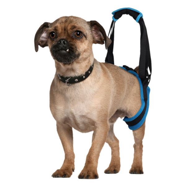 Dog Rear Support Harness