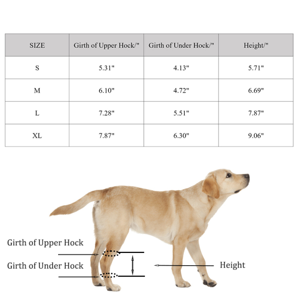 Hock Brace for Dogs