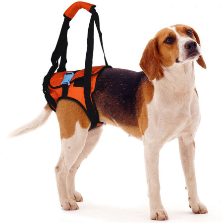Dog Rear End Support Harness