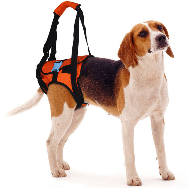 Dog Rear End Support Harness