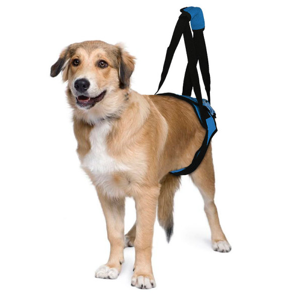 Dog Rear End Support Harness