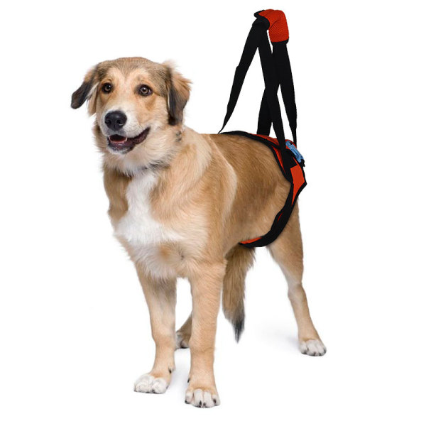 Dog Rear End Support Harness