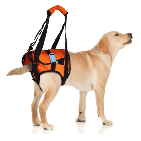 Dog Rear End Support Harness