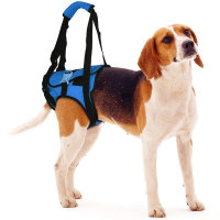 Dog Rear End Support Harness