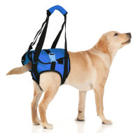 Dog Rear End Support Harness