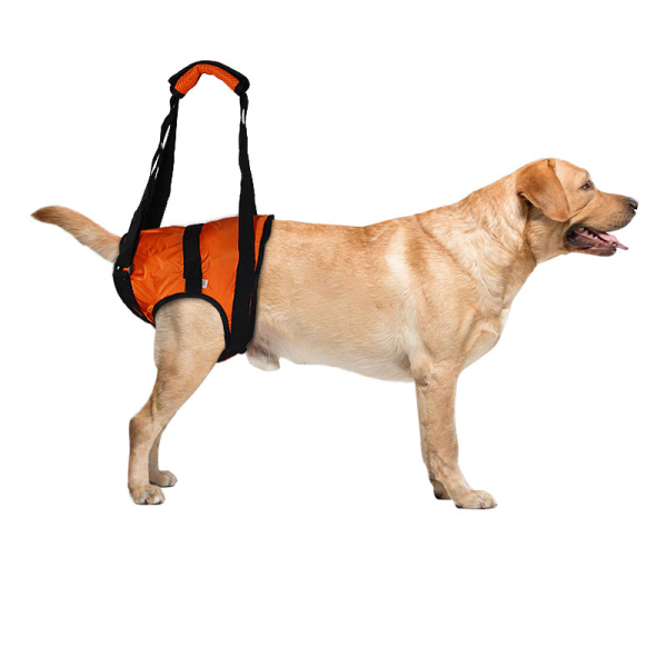 Dog Rear End Support Harness