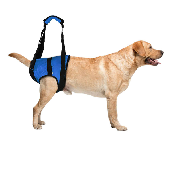 Dog Rear End Support Harness