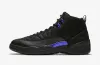 Air Jordan 12 Retro Black Dark Concord CT8013 005