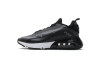 Nike Air Max 2090 Black Wolf Grey Anthracite CW7306-001