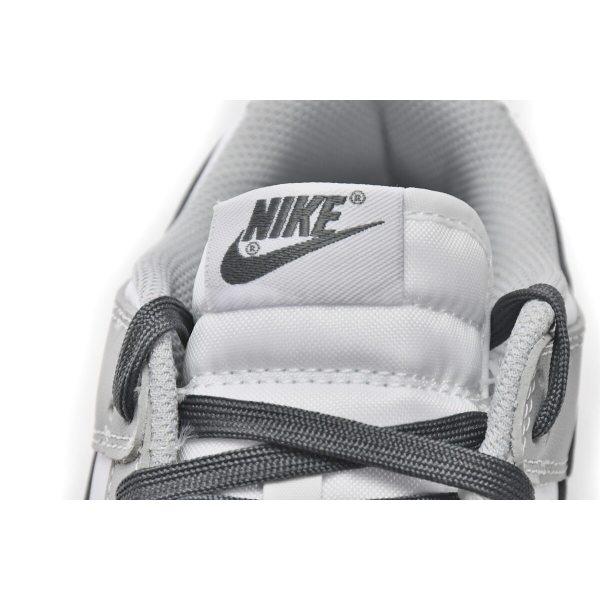 Nike Dunk Low Light Smoke Grey DD1503-117
