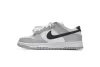 Nike Dunk Low Lottery DR9654-001