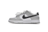Nike Dunk Low Lottery DR9654-001