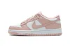 Nike Dunk Low Orange Pearl (W) DD1503-102