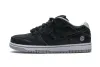 Nike SB Dunk Low Medicom Toy (2020) CZ5127-001