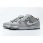 Nike SB Dunk Low Summit White Wolf Grey AR0778-110