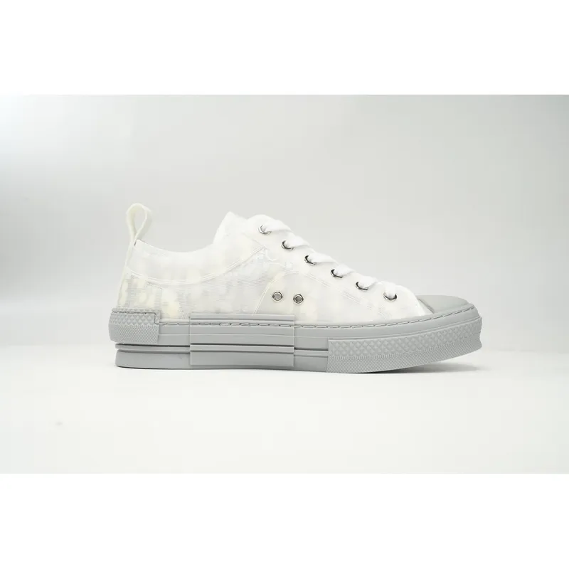 Dior B23 Low Top Oblique Rank Silver Gray 3SN272ZIR 16536 