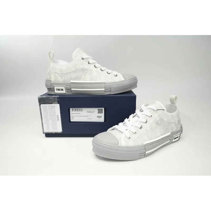 Dior B23 Low Top Oblique Rank Silver Gray 3SN272ZIR 16536 