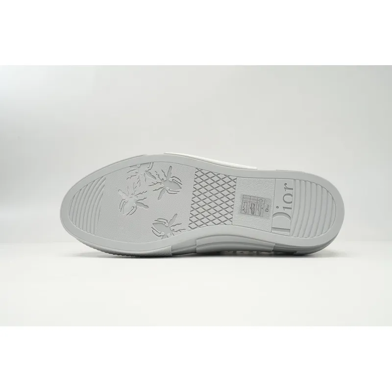 Dior B23 Low Top Oblique Rank Silver Gray 3SN272ZIR 16536 