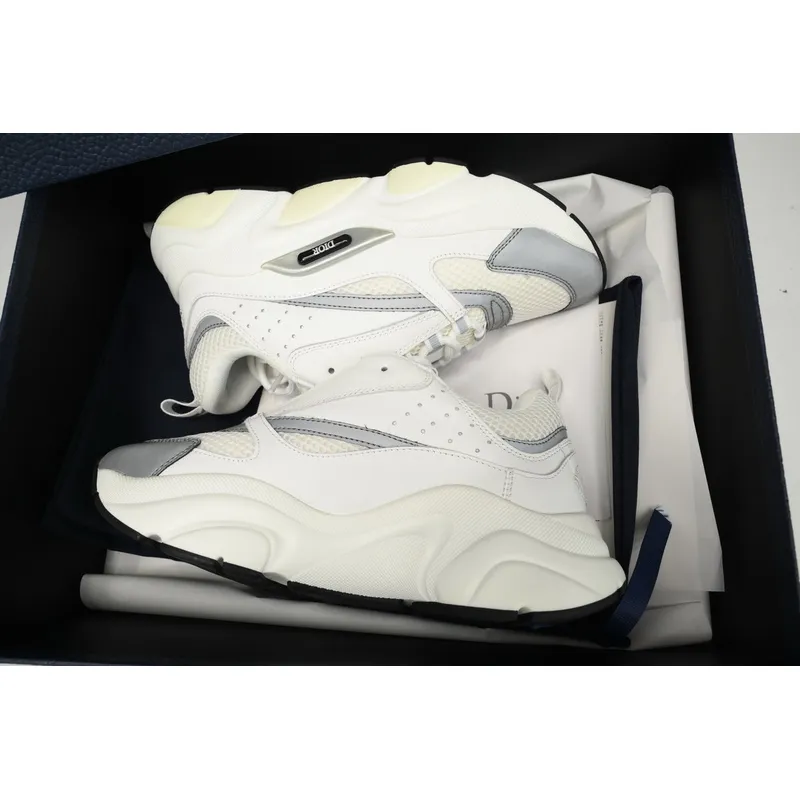 Dior B22 White Silver