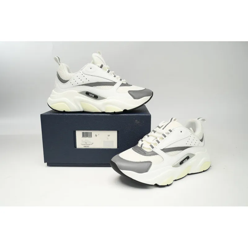 Dior B22 White Silver