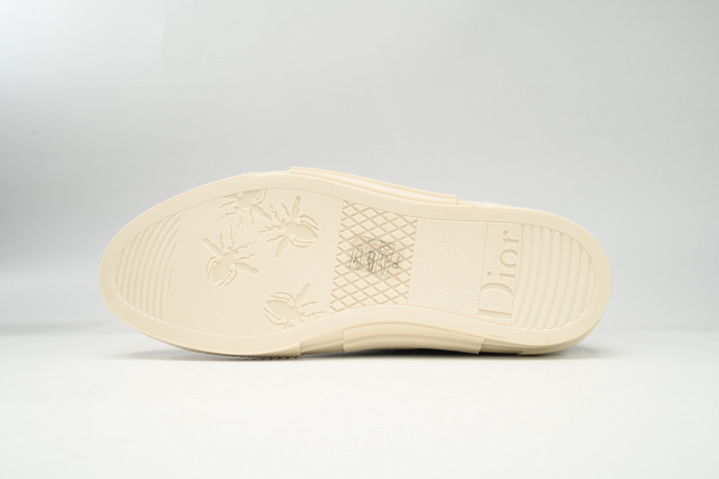 Dior B23 High Oblique Transparency Black