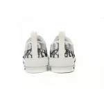 Dior B23 Low Top Logo Oblique 3SN249YJP_H069