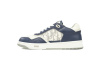 Dior B27 Low Purplish Blue