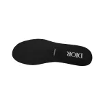 Dior B27 Low Black