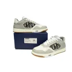 Dior B27 Low Grey