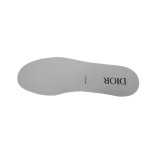 Dior B27 Low Grey