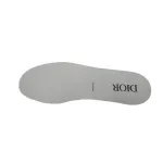 Dior B27 Low Grey