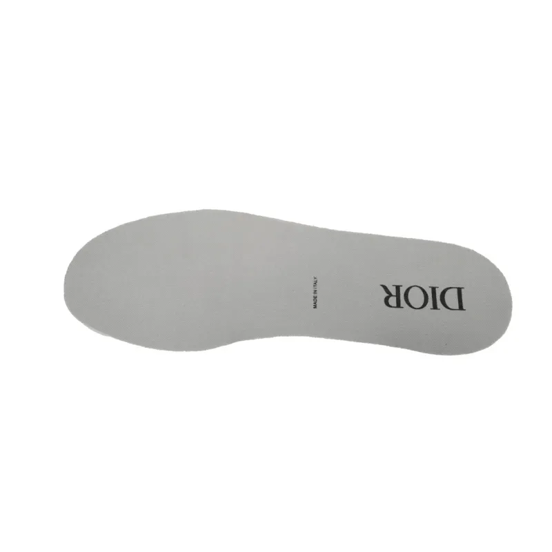Dior B27 Low Grey