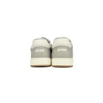 Dior B27 Low Grey