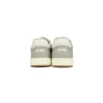 Dior B27 Low Grey
