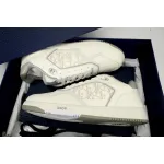Dior B27 Low Grey White