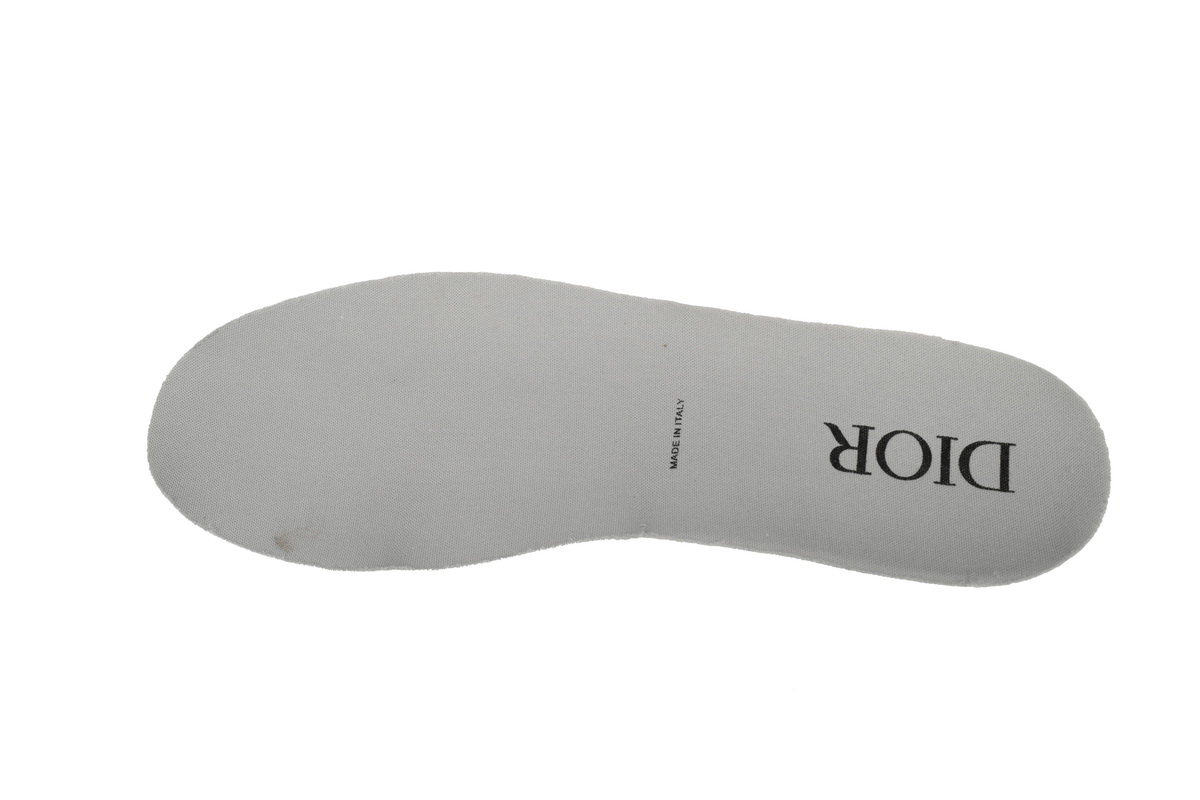 Dior B27 Low Grey White