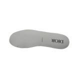 Dior B27 Low Grey White