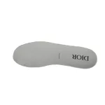 Dior B27 Low Grey White