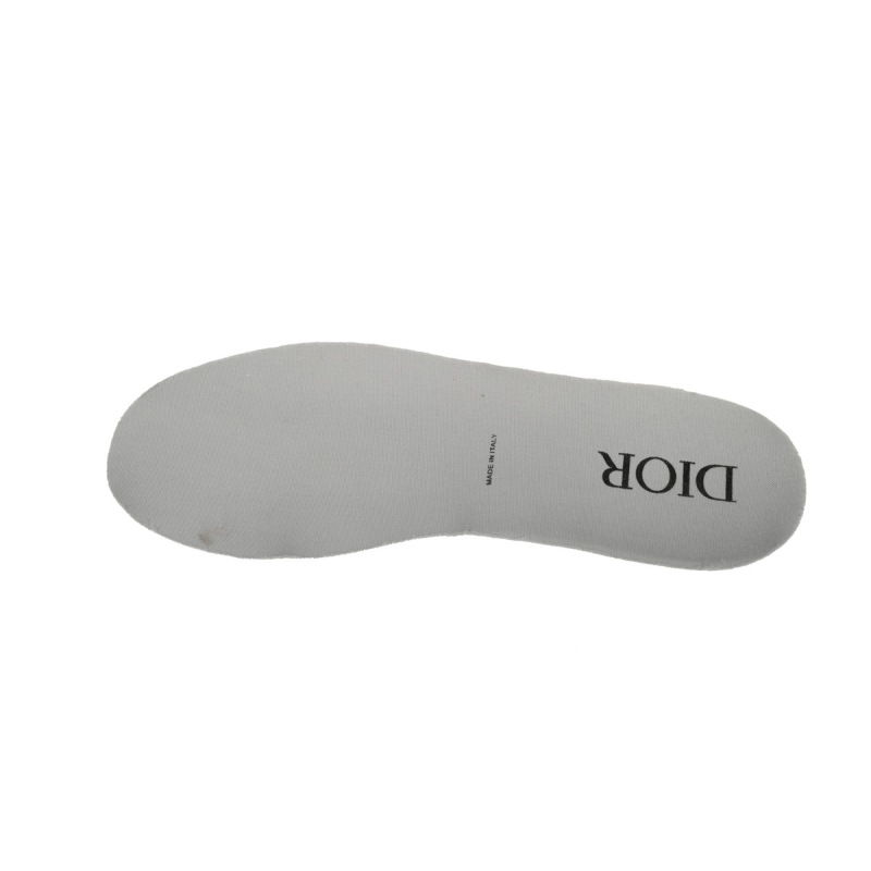 Dior B27 Low Grey White